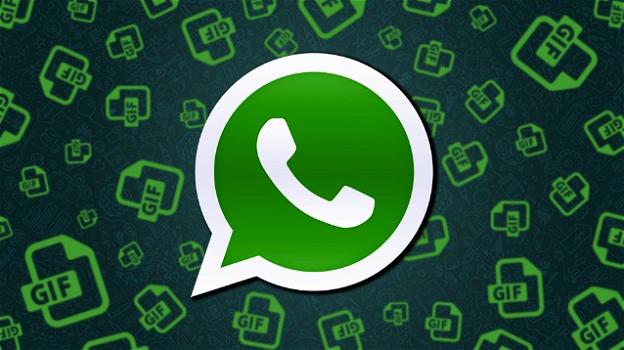 WhatsApp: introdotta l’anteprima delle GIF linkate, e relativo "tap to download"