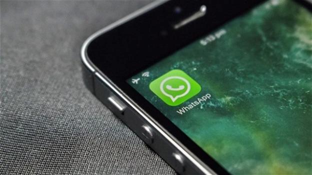WhatsApp: arriva l’aggiornamento per i nuovi iPhone e iOS 12. Ancora test per il Dark Theme