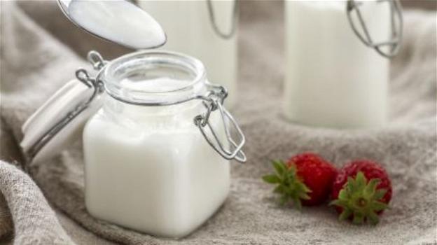 Mangiare yogurt più di 2 volte a settimana riduce del 20% il rischio di infarto
