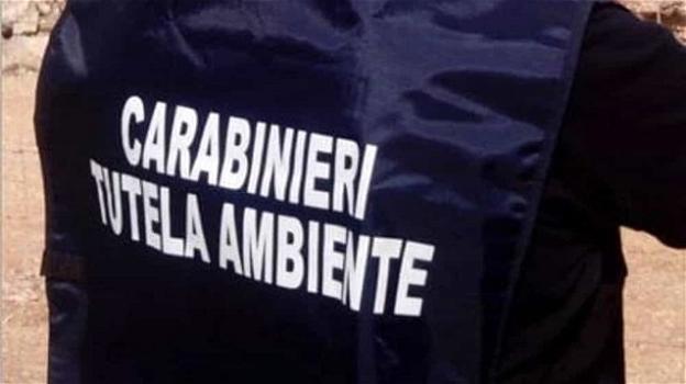 A Bologna, due imprenditori in manette per traffico di rifiuti e corruzione