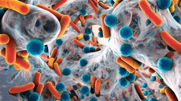 Cefiderocol: è questo il nome del nuovo antibiotico che annienterà i super batteri