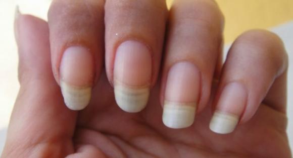Alcuni fatti bizzarri sul corpo umano che ti lasceranno di stucco!