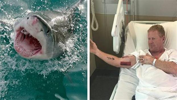Prende a pugni lo squalo e riesce a salvarsi: l’eroica reazione di un surfista australiano