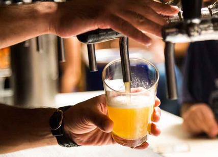 La birra ha un effetto antidolorifico più efficace del paracetamolo