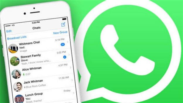 WhatsApp: arrivano le risposte private ai messaggi delle chat di gruppo, e la conferma della pubblicità negli Stati
