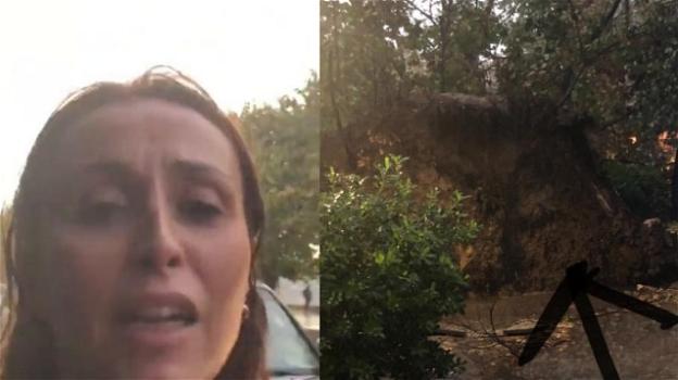 Benedetta Parodi, causa maltempo albero si abbatte sul suo posto auto: le immagini shock pubblicate sui social