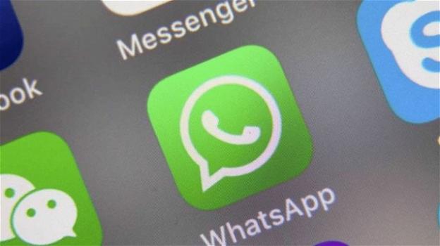 WhatsApp: nuove regole per i nomi aziendali in For Business, e tante novità su iOS
