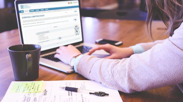 Neoassunti, piattaforma Indire e Bilancio delle Competenze Iniziali