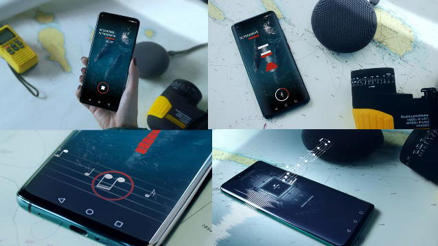 Il canto delle balene si trasforma in musica grazie ad una app