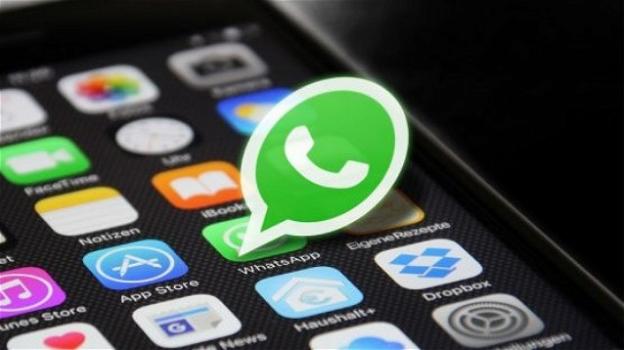 WhatsApp con le anteprime nelle notifiche push su iOS, Instagram con i test per un’intefaccia più agile e meritoria
