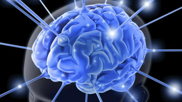 L’uomo sa quando è morto: quando il cuore smette di battere, il cervello funziona ancora