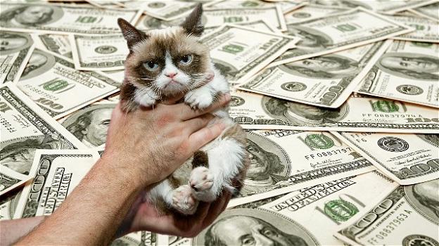 Grumpy Cat è il gatto più ricco del mondo