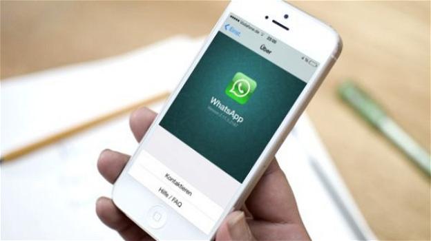 WhatsApp: su iOS si sperimentano le notifiche push con l’anteprima dei video ricevuti