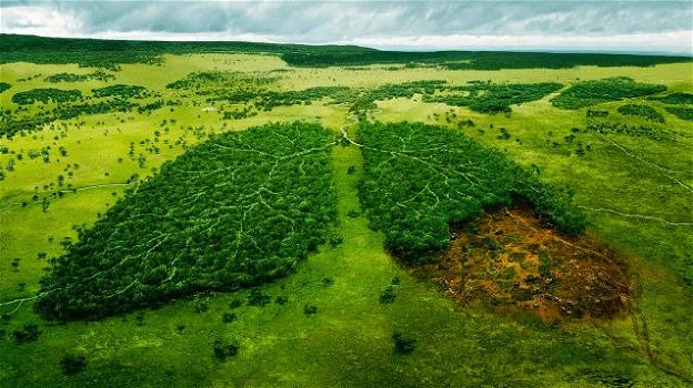 Amazzonia, nell’ultimo anno aumentato il tasso di deforestazione del polmone verde del mondo