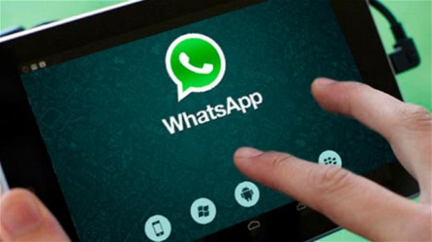 WhatsApp: in beta sbarca sui tablet anche dal Play Store, e prepara una nuova interfaccia di ricerca per GIF e stickers