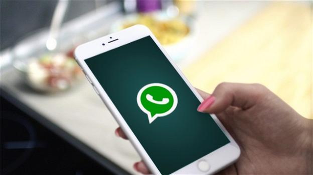 WhatsApp: le nuove videochiamate di gruppo sbarcano su Android. Avvistate due utili e innovative feature aggiuntive