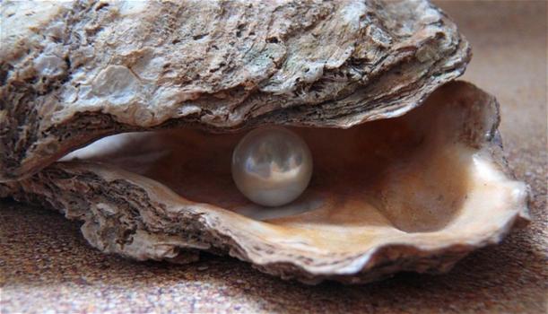 Ordina un piatto di ostriche da 13euro ma all’interno trova una perla che ne vale più di duemila