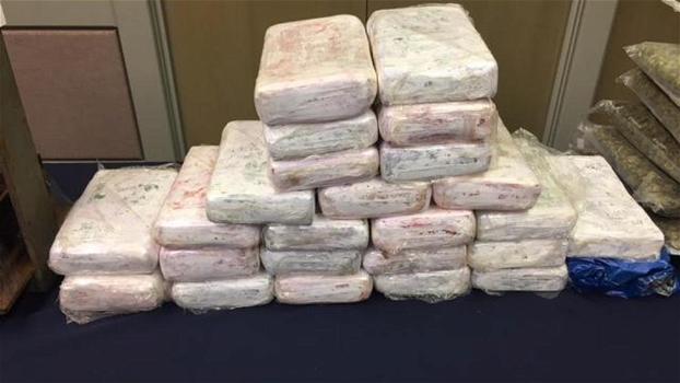 Gli arrivano 700kg di cocaina in ditta in un container, titolare sotto shock