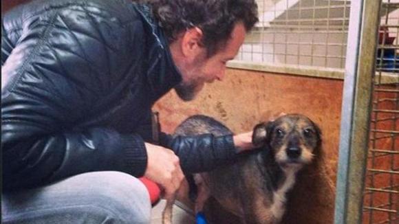 Jovanotti e il suo immenso amore per gli animali, regala 23 quintali di cibo al canile di Ossaia