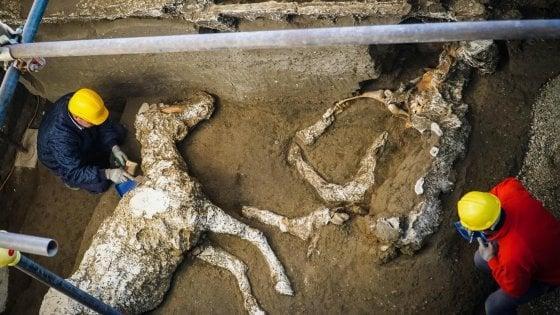 Pompei, nuova sensazionale scoperta: ritrovato il cavallo bardato del comandante