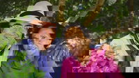 1546600445_5c2f3ffbcaa75