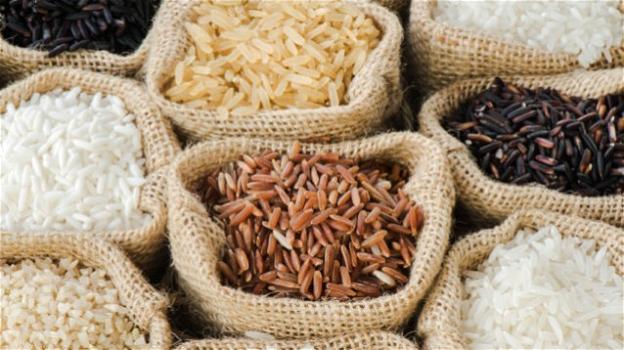 Riso: proprietà, benefici e chilocalorie del cereale più antico al mondo