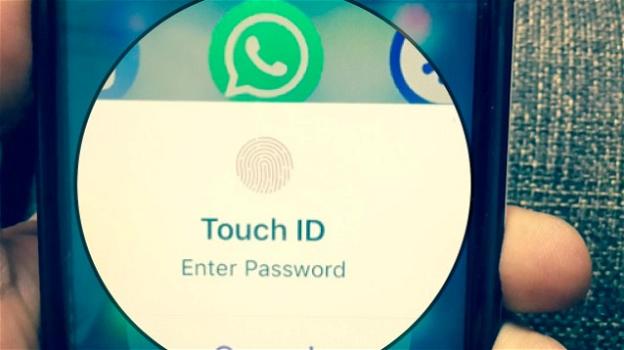 Novità WhatsApp: arriva l’accesso alla chat mediante il sensore biometrico