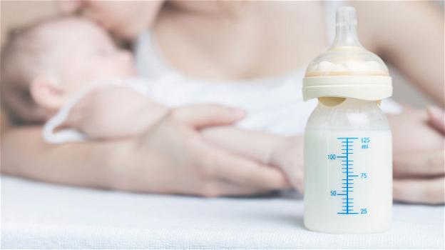 Latte d’asina: integratore del latte materno per i bambini prematuri