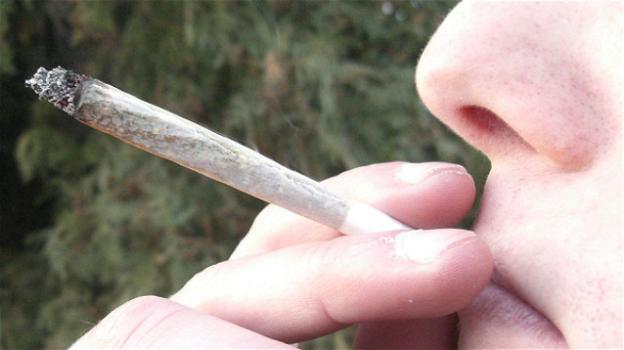Cannabis: basta un solo spinello per modificare il cervello degli adolescenti