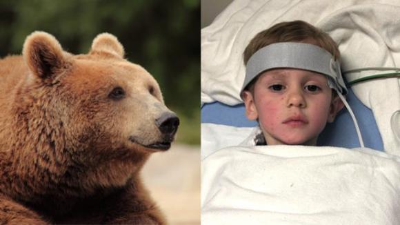 Bimbo di 3 anni sopravvive nel bosco a -20 gradi: è vivo grazie ad un orso