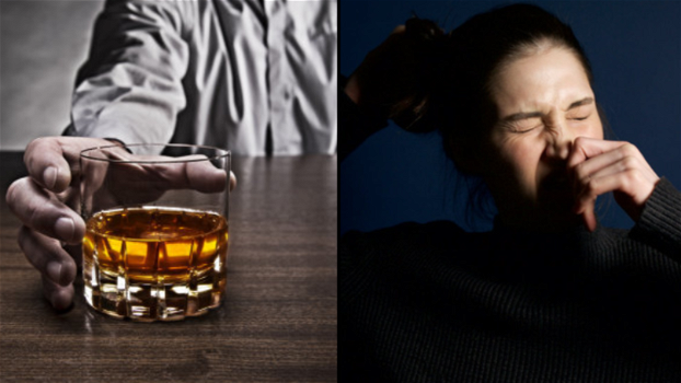 Uno studio rivela che bere whisky può aiutarti a sopportare meglio i sintomi dell’influenza