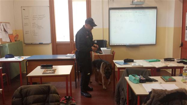 Venezia: cane cerca droga tra gli studenti ma smaschera la prof