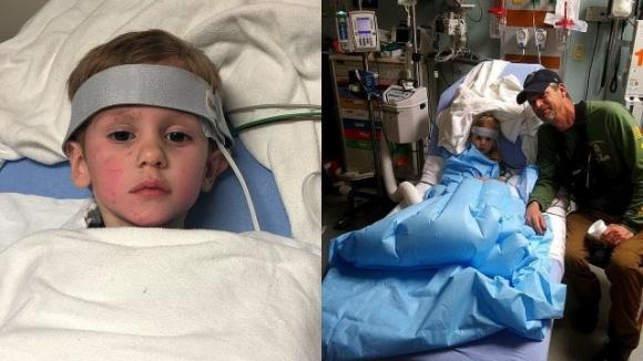 Bimbo di 3 anni sopravvive nel bosco a -20 gradi: è vivo grazie ad un orso