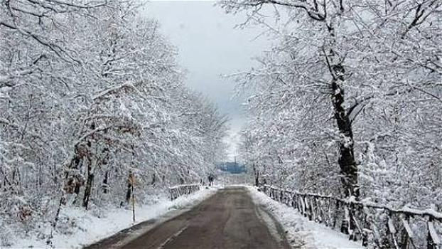 Sud Italia sotto la neve: alberi caduti, incidenti e disagi alla circolazione