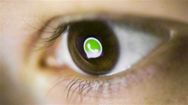 WhatsApp: attivata su iOS la protezione dell’app tramite Face ID e Touch ID