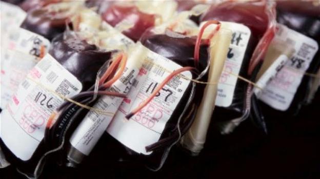 Testimone di Geova rifiuta trasfusione di sangue. La Cassazione assolve l’uomo che causò l’incidente
