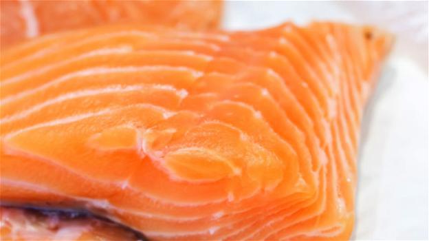 Ritirati lotti di salmone affumicato per rischio listeria