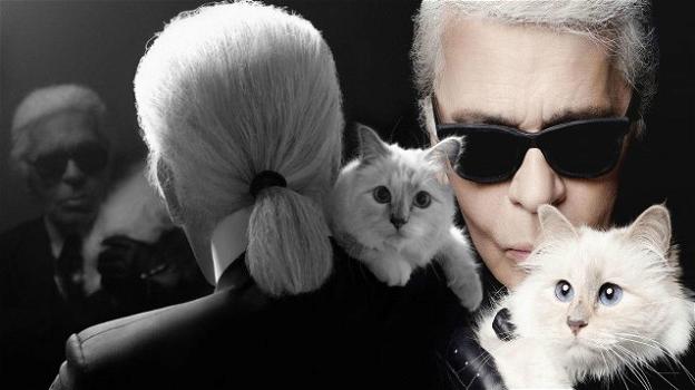 Parte dell’eredità di Karl Lagerfeld andrà alla sua gatta Choupette