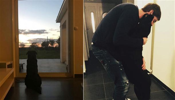 Emiliano Sala, il suo cane Nala lo aspetta ancora: il post della sorella commuove il web