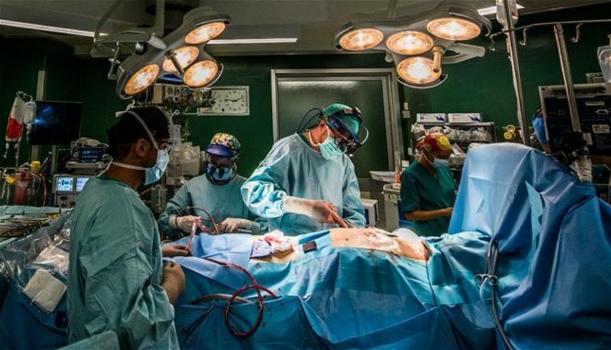 In ospedale per dolori addominali: il rosmarino le aveva perforato l’intestino, 57enne operata d’urgenza