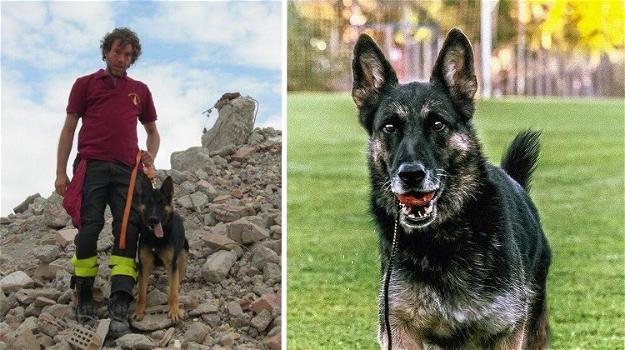 Addio a Falco, il cane-eroe che salvò la vita a tre bambini intrappolati nell’Hotel di Rigopiano
