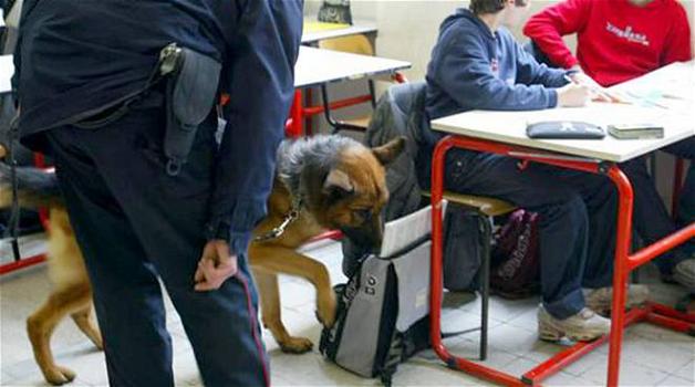 Blitz nelle scuole a Terni con cani antidroga: trovato uno spinello