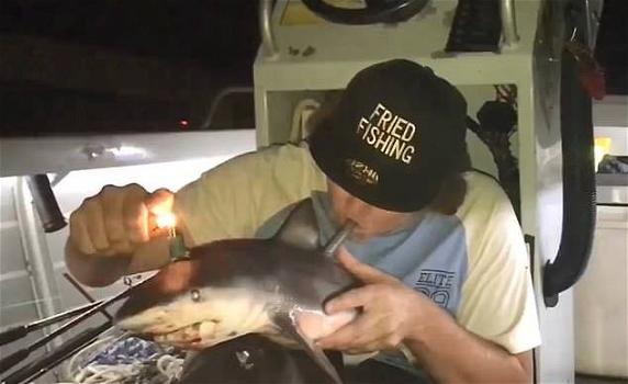 Indignazione in Australia, pescatore si fa un video mentre usa uno squalo morto come bong