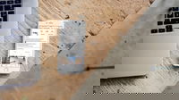 1553243157_5c949c1495dd0