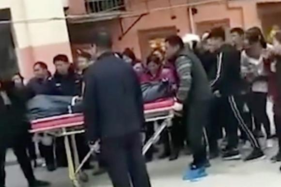 Mamma ammazza il cane del figlio 13enne, lui la uccide a colpi di mannaia