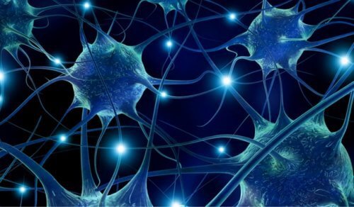 I neuroni si rigenerano anche in tarda età: la scoperta può rivoluzionare le terapie per l’Alzheimer