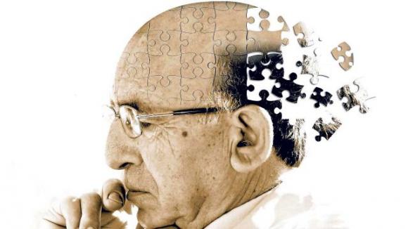 I neuroni si rigenerano anche in tarda età: la scoperta può rivoluzionare le terapie per l’Alzheimer
