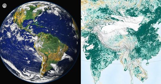 La Terra è molto più verde rispetto a 20 anni fa: lo studio della NASA che ridà speranza