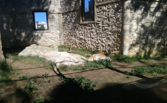 Animali lasciati a se stessi da mesi: le foto choc dall’interno dello zoo abbandonato