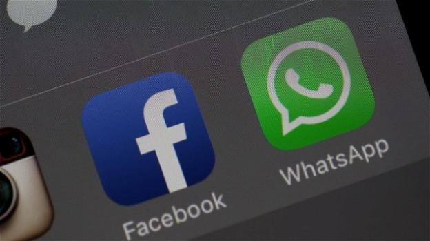 WhatsApp Business arriva su iOS, Facebook Lite svecchia l’interfaccia della Home